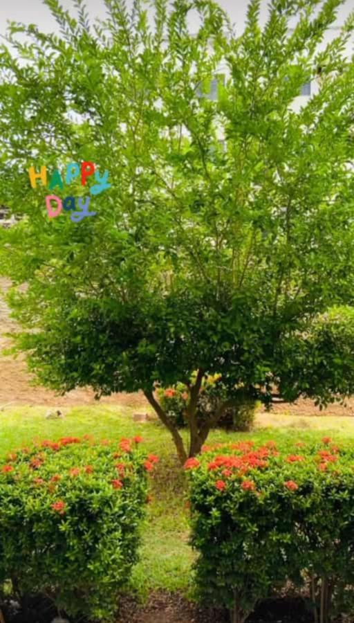 Apartamento, Zona Leste, Otima Localizacao. Teresina Luaran gambar